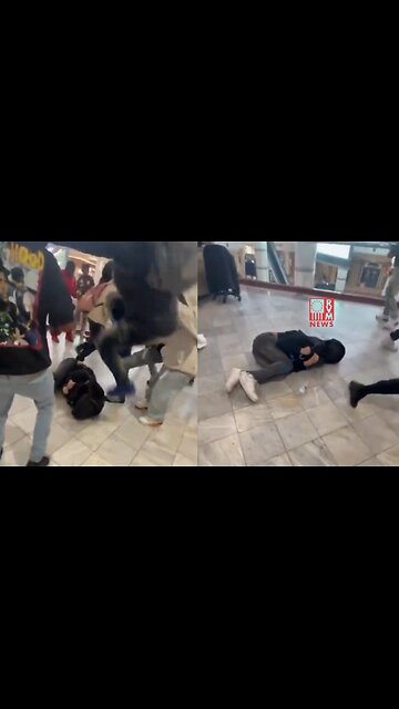 Mob Of Thugs STOMP Defenseless Kid... It's Not The Guns