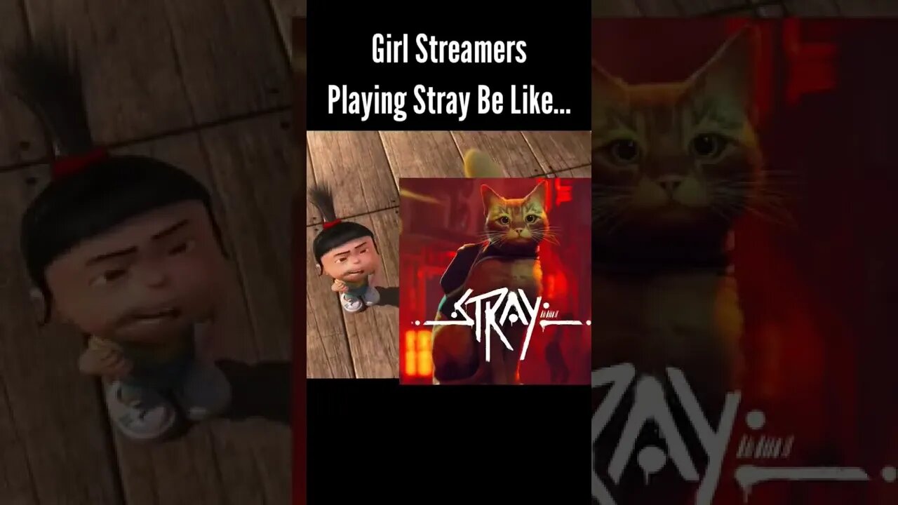 Girl Streamers Playing Stray Be Like...