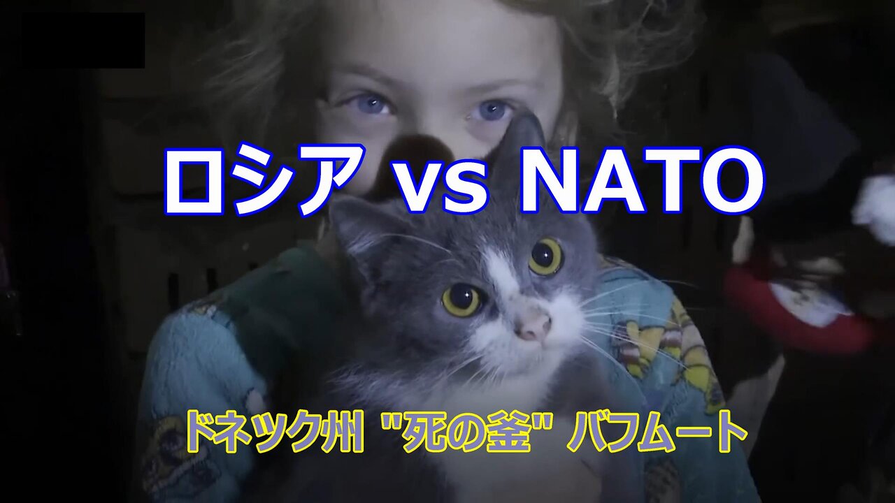 【 ロシア vs NATO《ドネツク州・死の釜=バフムート》】