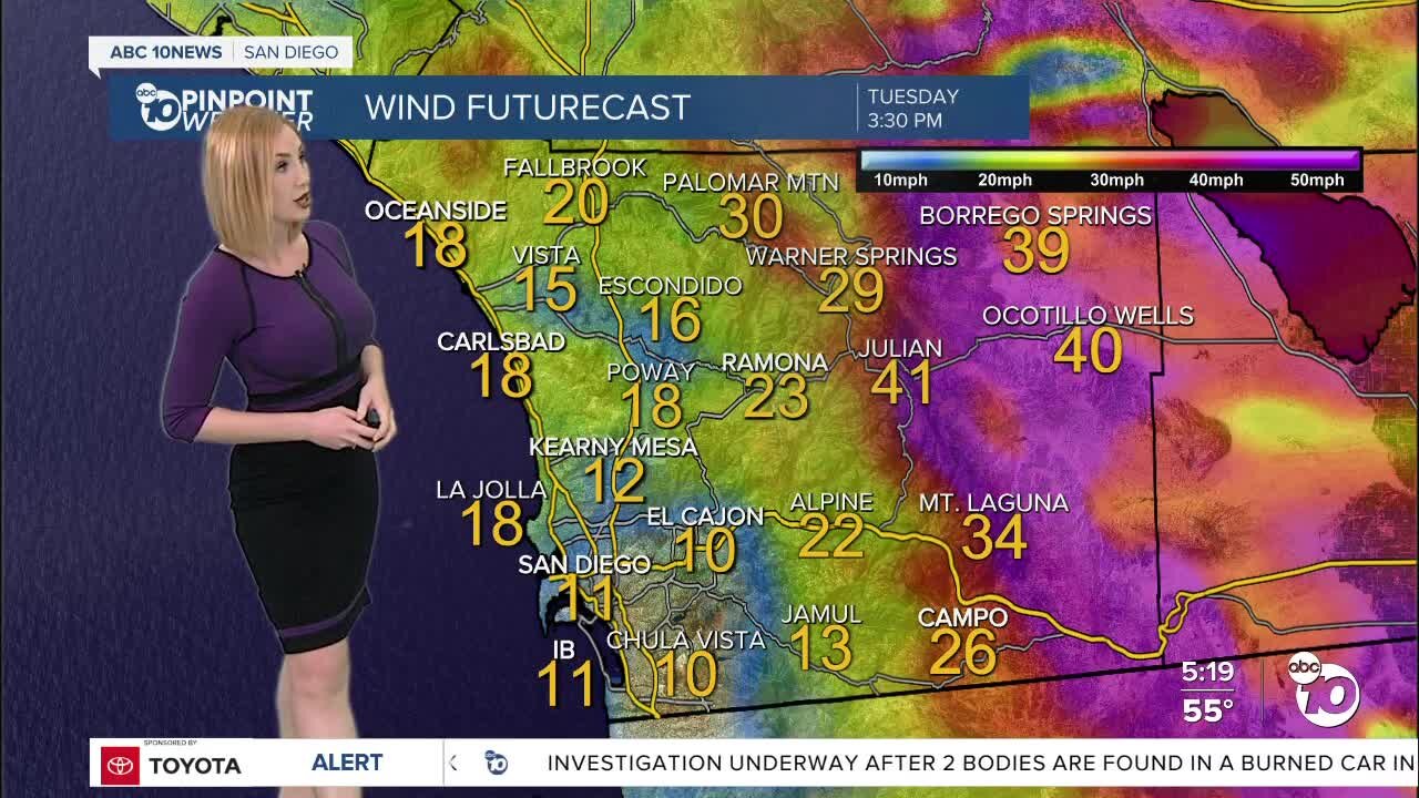 ABC 10News Pinpoint Weather with Meteorologist Leah Pezzetti