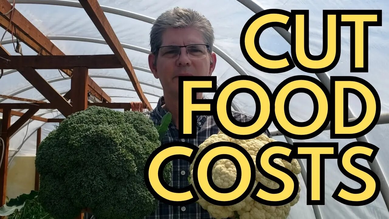 Maximize Your Food Production