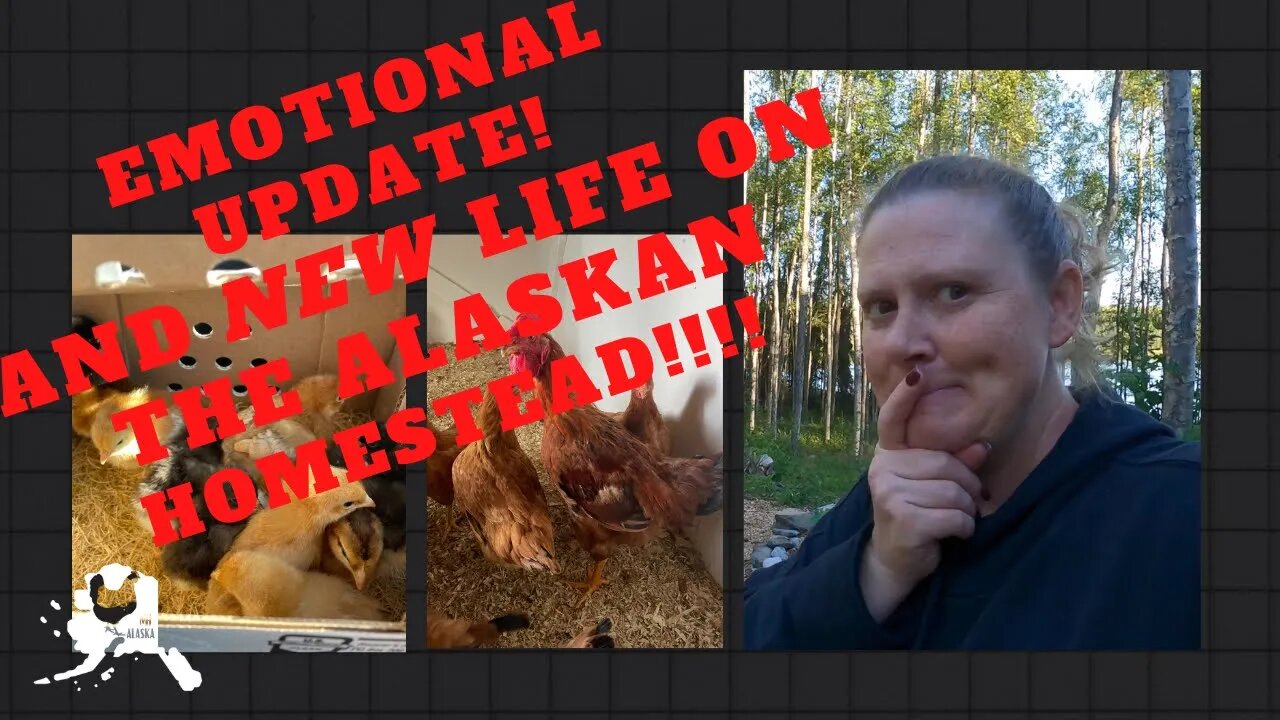 Day in the life | Hard Day and Emotional update also new baby chickens.