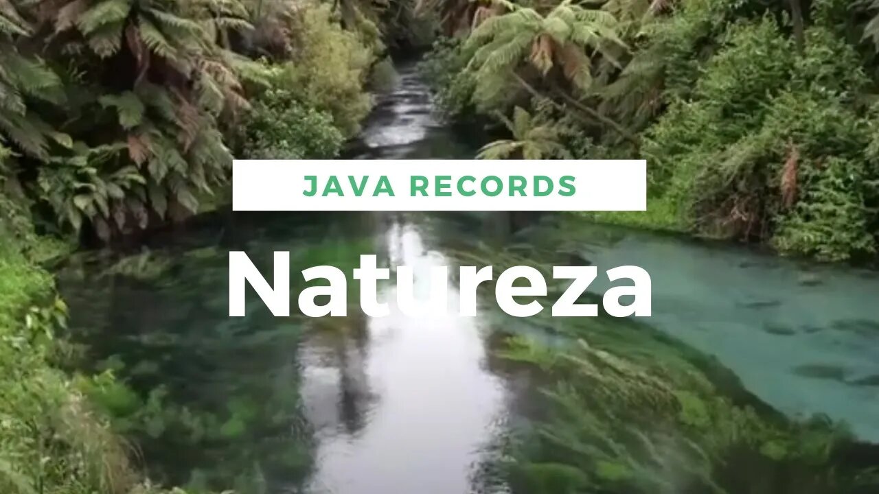 Sons de Natureza de Deus - para relaxar e dormir - pássaros