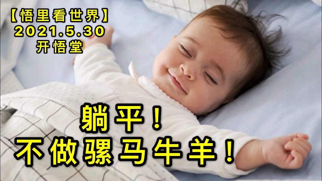 KWT1825躺平！不做骡马牛羊！20210530-10【悟里看世界】