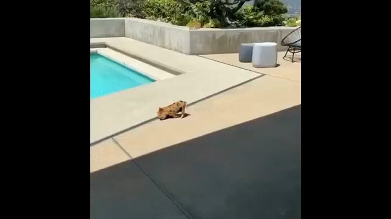 Funny sleeping position