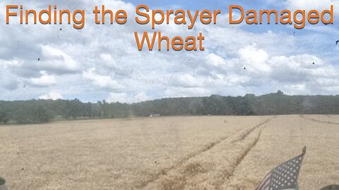 Finding the Sprayer Damaged Wheat