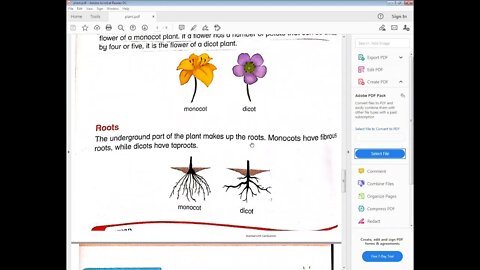science class 5 18 01 2021