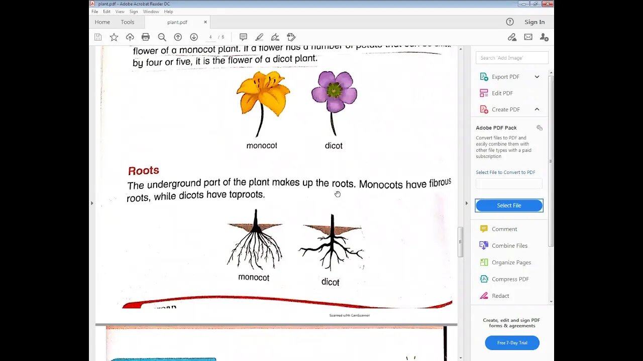 science class 5 18 01 2021