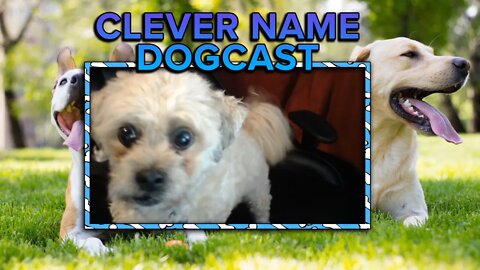 Dogcast - Clever Name Podcast #223