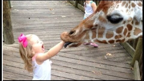 Forget Cats ! Funny Kids vs Zoo Animals Are Way FUNNIER! TRY NOT TO LAUGH