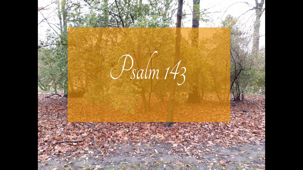 Psalm 143 von Konrad