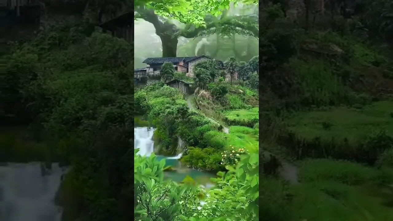Nature #shorts #subscribe #whatsappstatus #love #nature