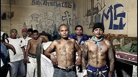 youtuber cheapshots bystanders, illegals taking over cities, goodwill evac