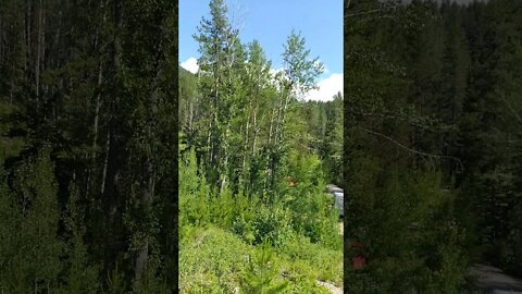 Outside Crazy Glacier 😜 National Park 6.5.2021-!-