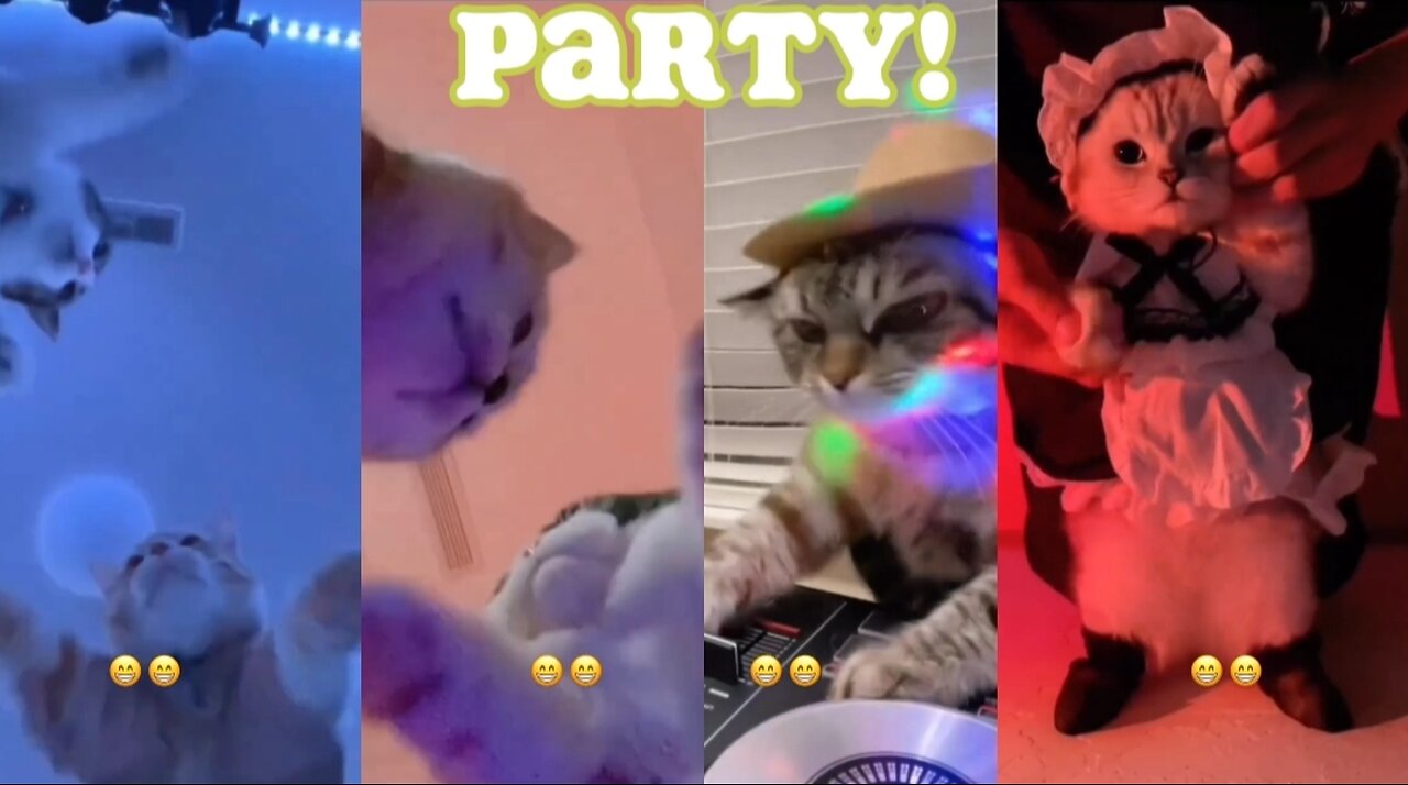 The party people are party animals... both figuratively and literally!