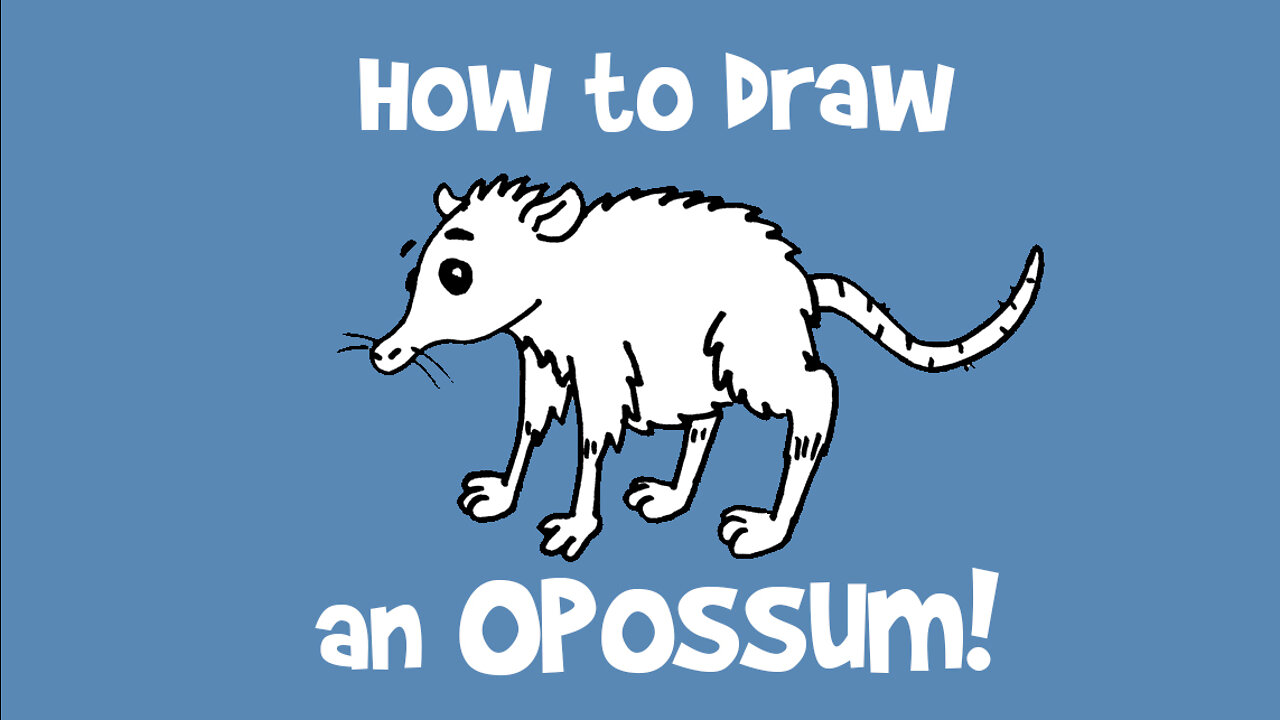 How to Draw an Opossum