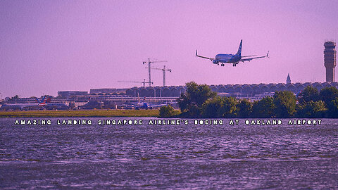 Amazing landing Singapore airline's Boeing at Oakland airport