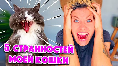 Я ИССЛЕДОВАЛА СВОЮ КОШКУ И ВОТ ЧТО УЗНАЛА! ТЕСТИРУЮ ВОНЮЧЕГО КОТА!