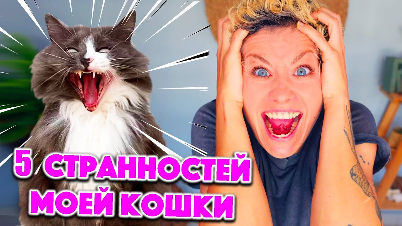 Я ИССЛЕДОВАЛА СВОЮ КОШКУ И ВОТ ЧТО УЗНАЛА! ТЕСТИРУЮ ВОНЮЧЕГО КОТА!