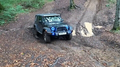 Driving on a forest road in a jeep