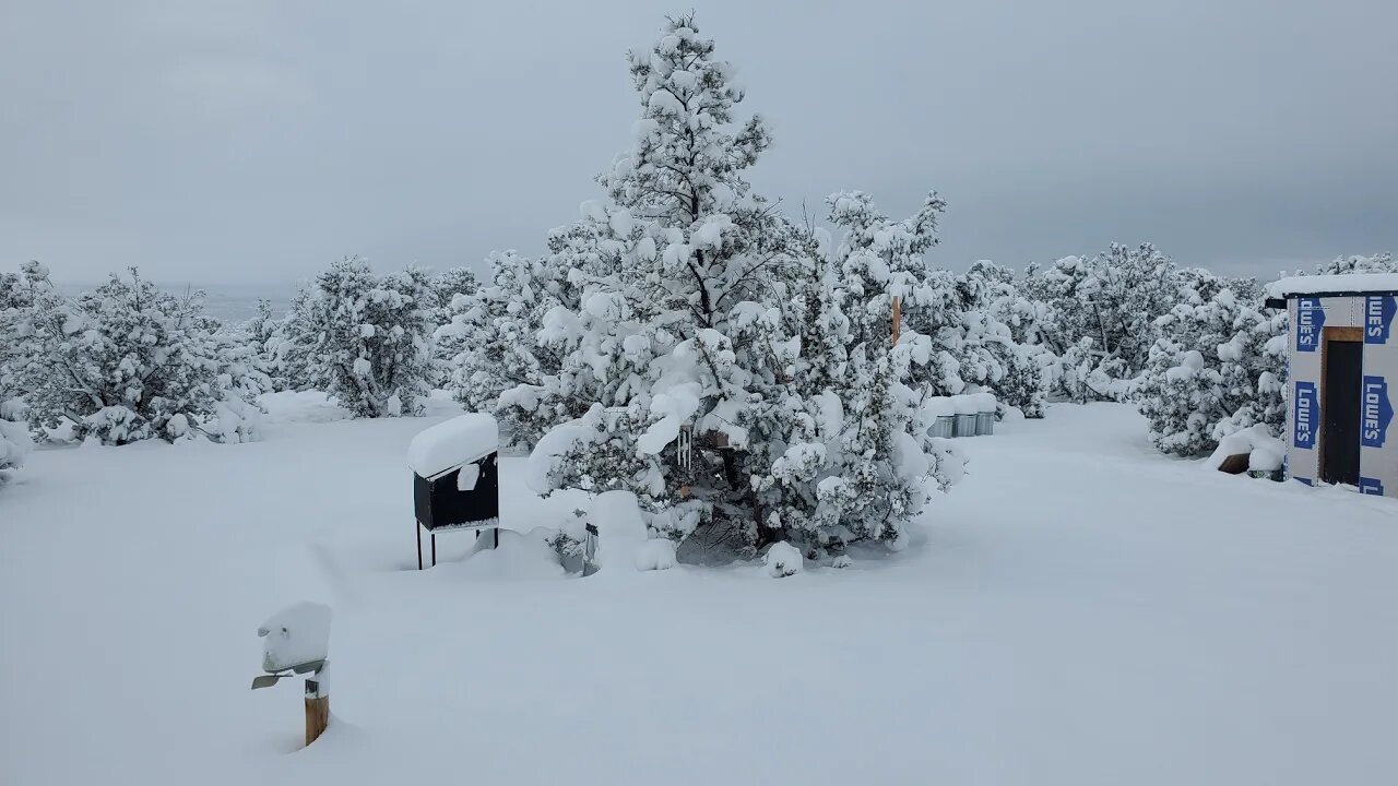 Epic Snow - Polar Vortex 2021 - Arizona Homestead