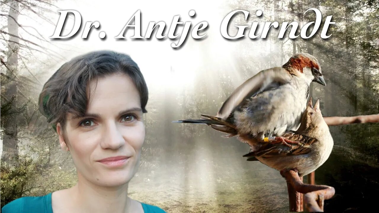 Vögel gehen fremd - Dr. Antje Girndt