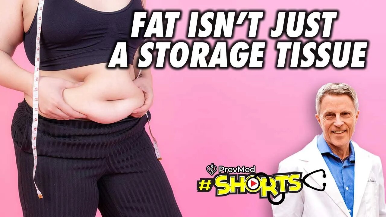 #SHORTS Fat Isn't Just for Energy Storage - Here's Why