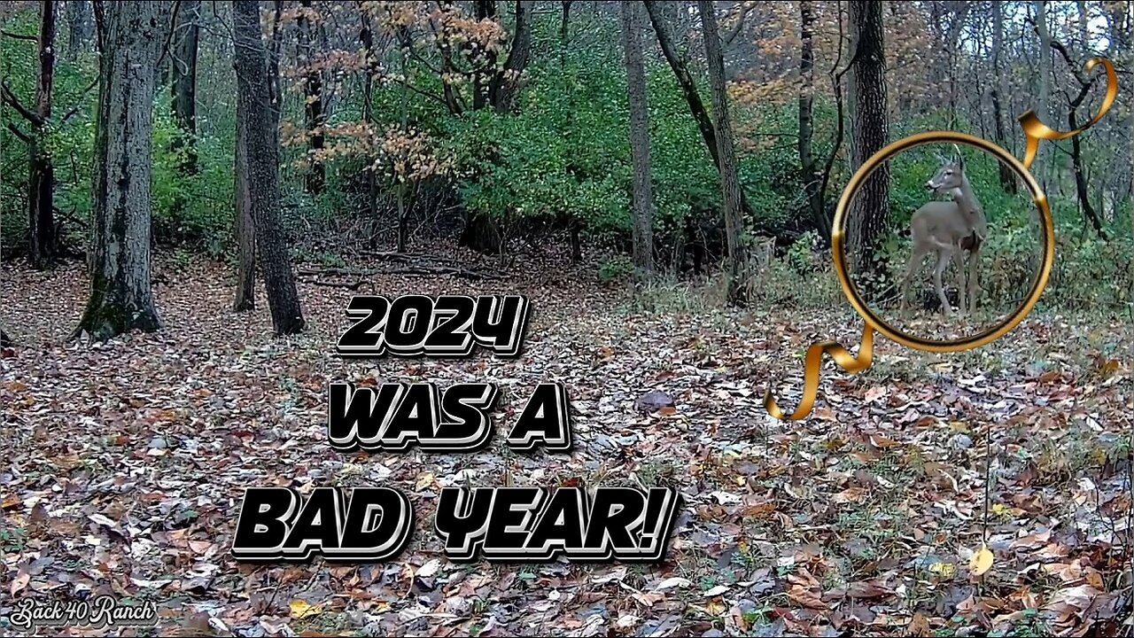 2024 was a bad year for the Deer herd