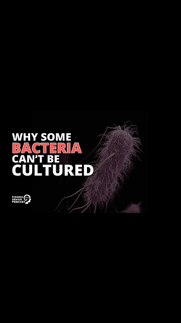 Why Some Bacteria Can’t Be Cultured