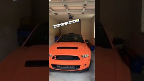 mustang startup 🔥🔥 #onepercent_clubb #mustang