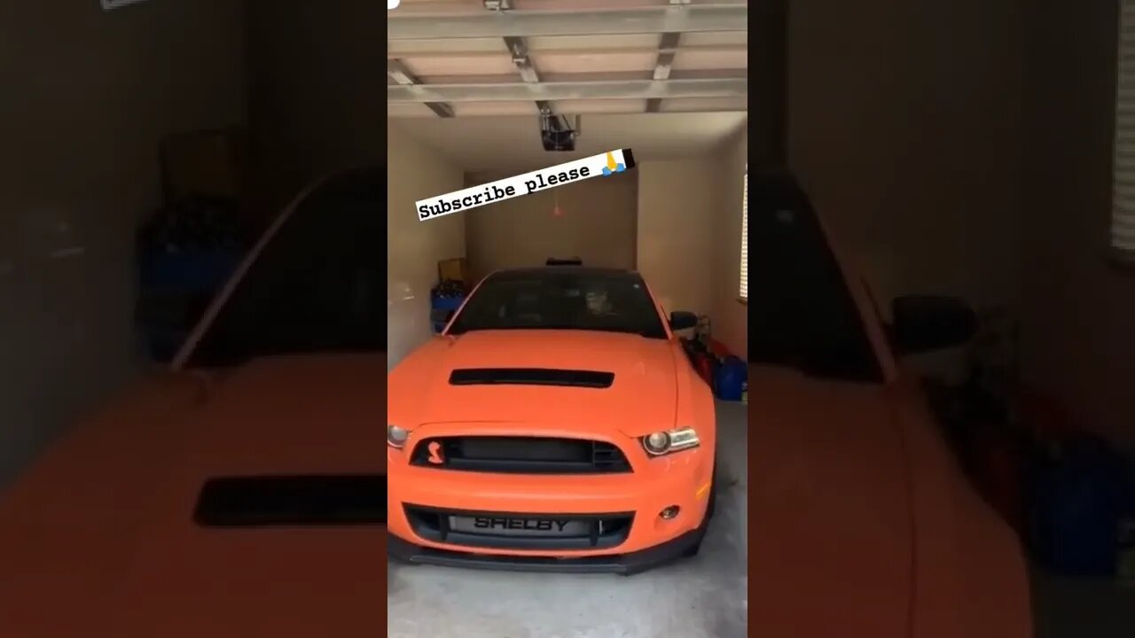 mustang startup 🔥🔥 #onepercent_clubb #mustang