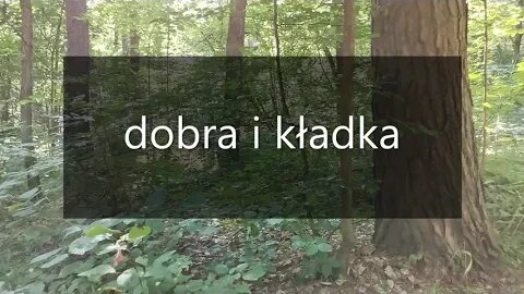 dobra i kładka