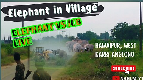 Elephant Vs JCB fight