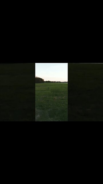(Short) DJI FPV : Ground Game
