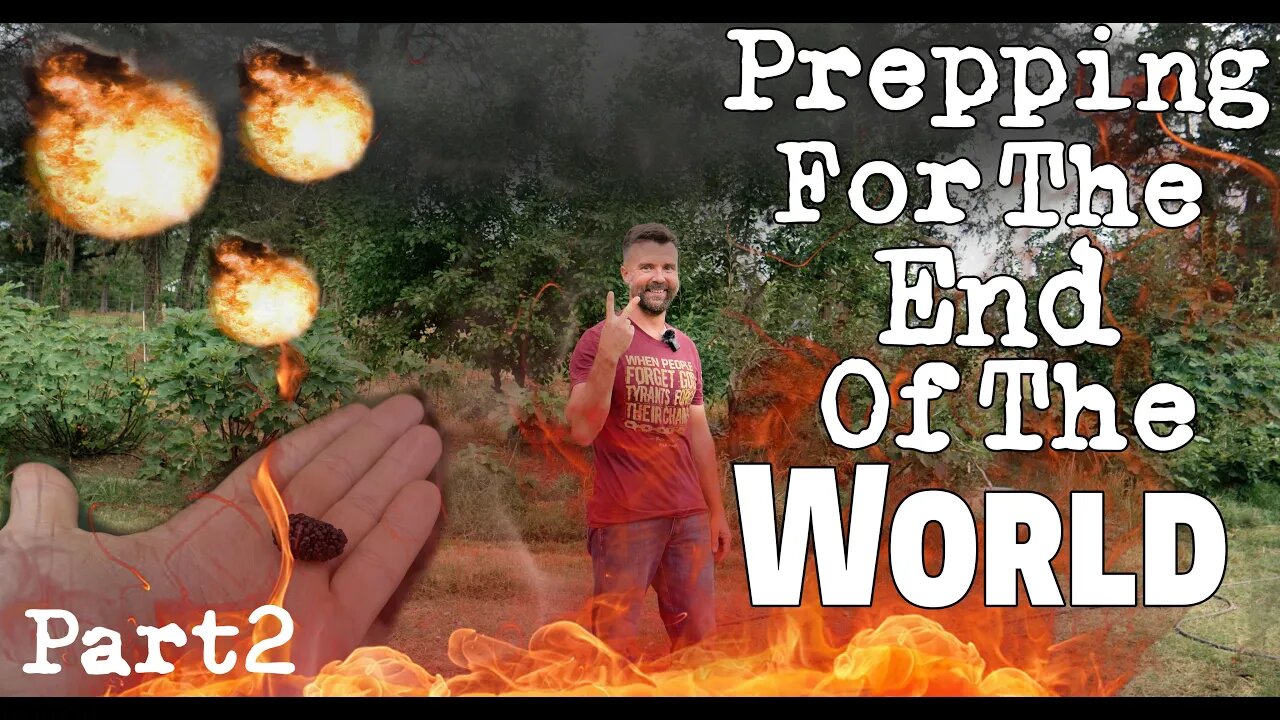 Prepping For The End Of The World! ~ Part 2 ~ 2022 Survival Food Forest Tour~ Food401-K