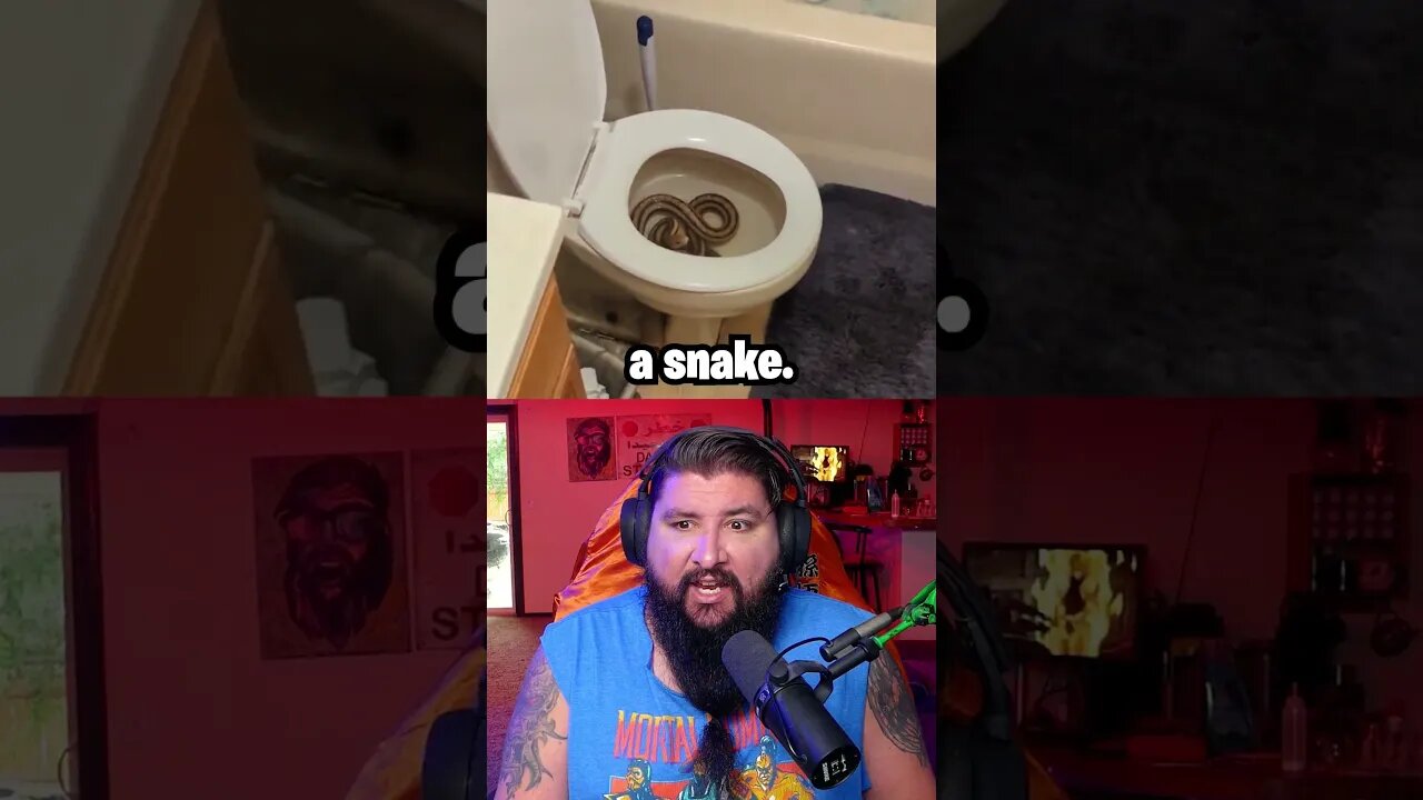 Make Sure To Check The Toilet