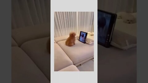 Don't you dare. . ❤️🤣🤣