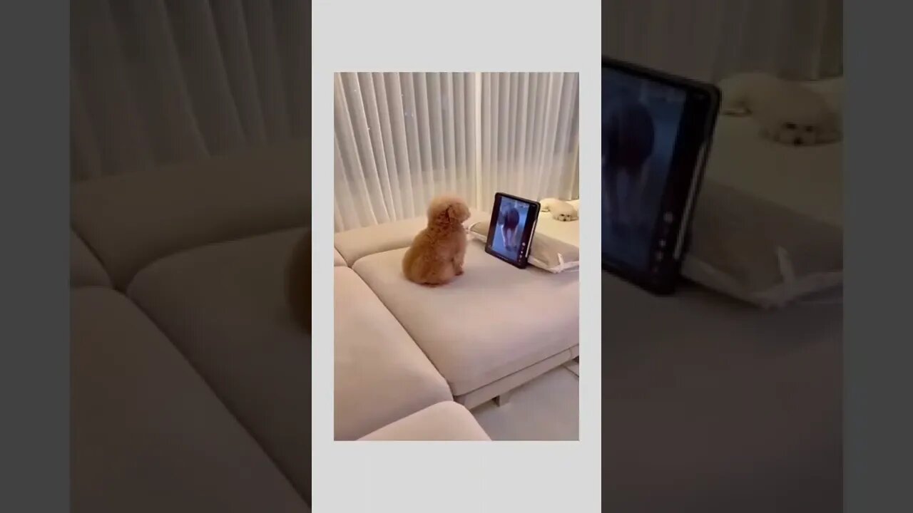 Don't you dare. . ❤️🤣🤣