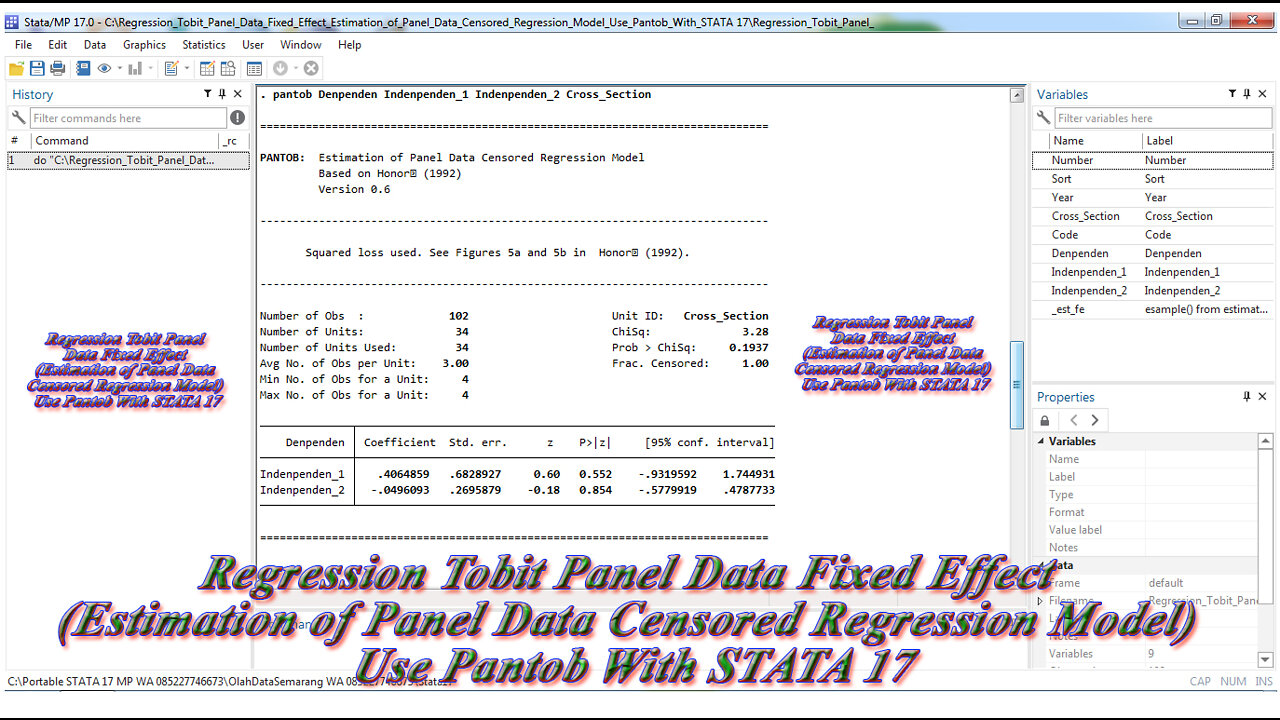 Regression Tobit Panel Data Fixed Effect Use Pantob With STATA 17