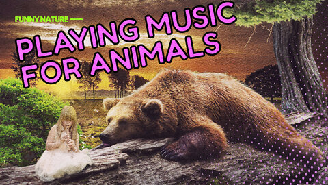 Playing Music for Wild Animals 🎼