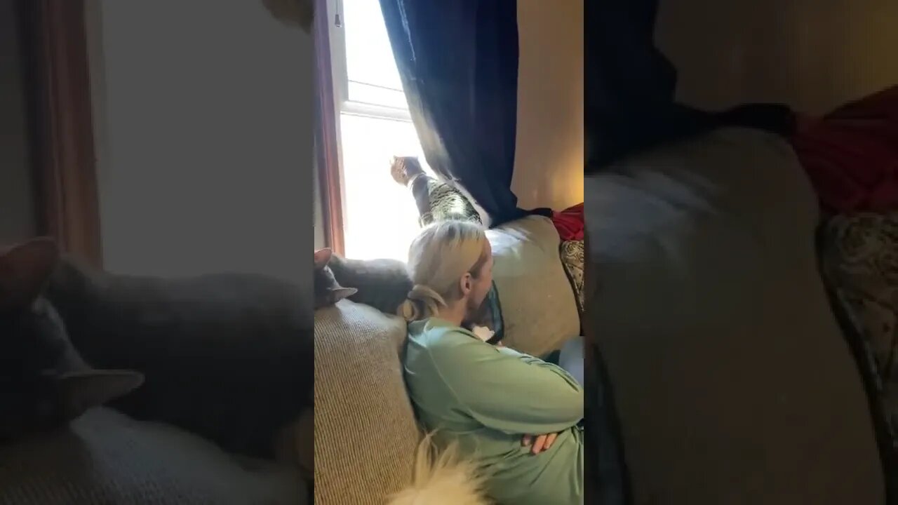 Tail Whip