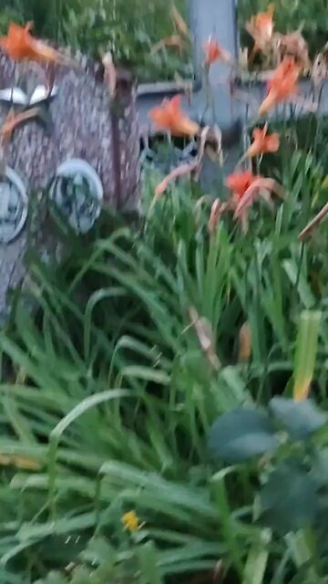 Soviet military graves...a few feet away from Azov graves…