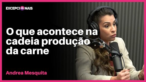 O Que Desequilibra o Agro São os Amadores | Andrea Mesquita