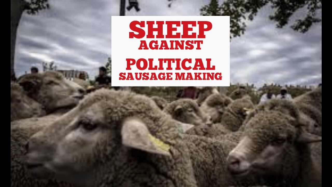 Political Sausage Making has Morphed into a Beacon of Crisis Sheep...