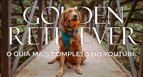 GOLDEN RETRIEVER - O GUIA COMPLETO