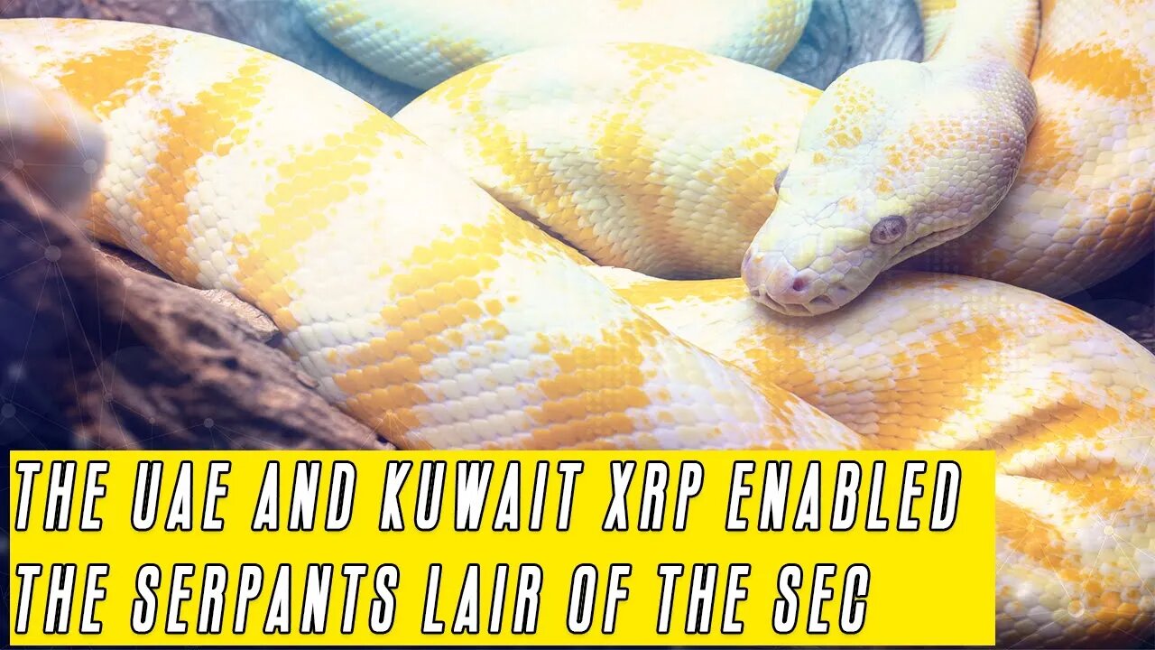 THE UAE AND KUWAIT SET UP FOR XRP! Gensler is slithering around while the EU IS READY!