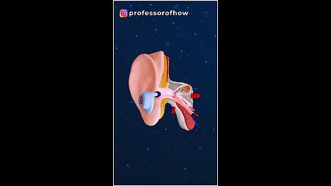 How does Ear buds damage our ears by 3D Animation