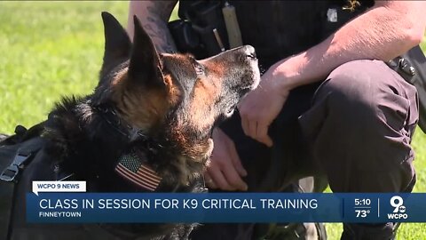 Class in session for K9 critical training