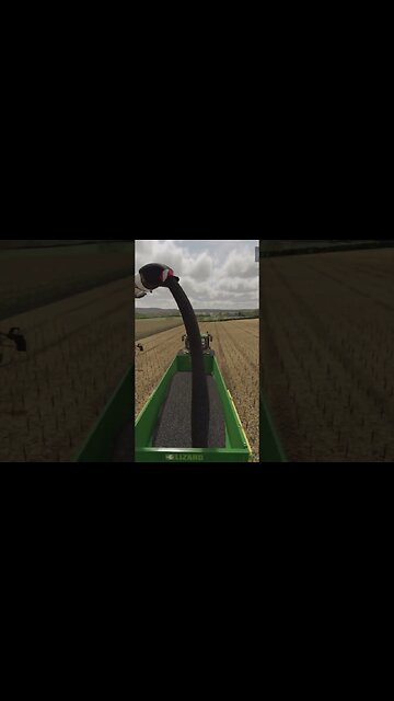 Harvesting Sunflower Farming Simulator 22 #shorts