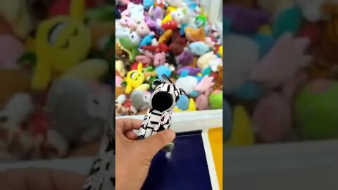 PEGANDO A ZEBRINHA CHAVEIRINHO DE LANTEJOULA 👏👏🦓🦓